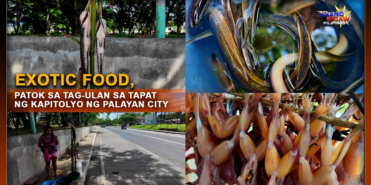 EXOTIC FOOD, PATOK SA TAG-ULAN SA TAPAT NG KAPITOLYO NG PALAYAN CITY