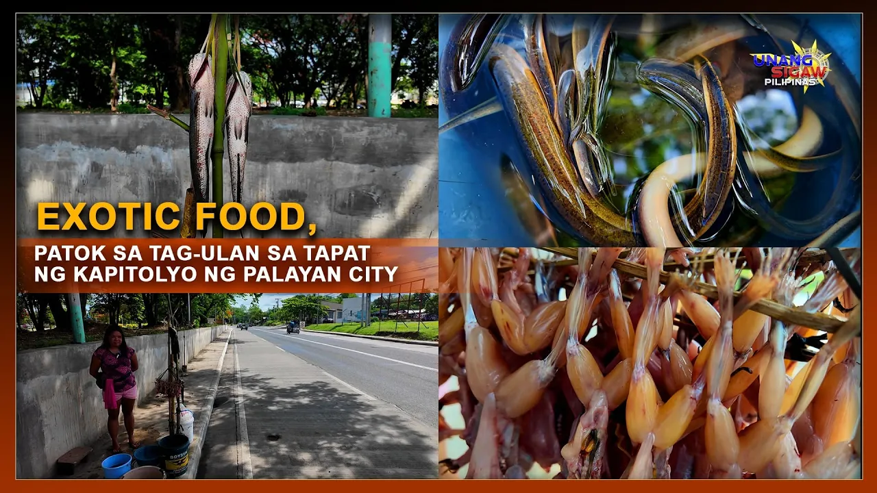 EXOTIC FOOD, PATOK SA TAG-ULAN SA TAPAT NG KAPITOLYO NG PALAYAN CITY
