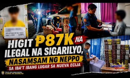 HIGIT P87K NA ILEGAL NA SIGARILYO, NASAMSAM NG NEPPO SA IBA’T IBANG LUGAR SA NUEVA ECIJA