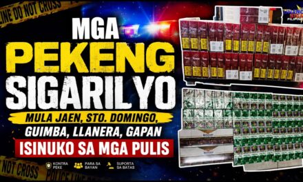 MGA PEKENG SIGARILYO MULA JAEN, STO. DOMINGO, GUIMBA, LLANERA, GAPAN, ISINUKO SA MGA PULIS