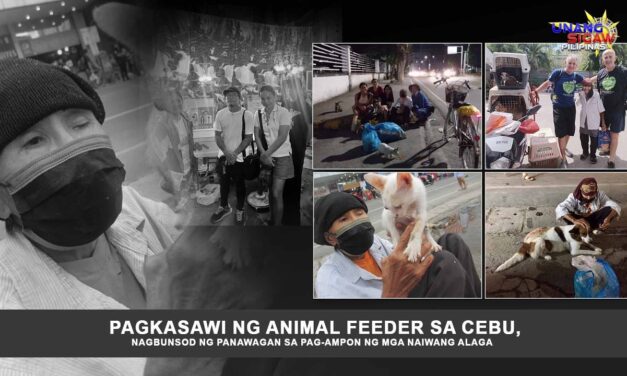 PAGKASAWI NG ANIMAL FEEDER SA CEBU, NAGBUNSOD NG PANAWAGAN SA PAG-AMPON NG MGA NAIWANG ALAGA
