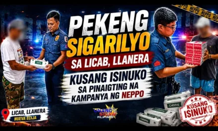PEKENG SIGARILYO SA LICAB, LLANERA, KUSANG ISINUKO SA PINAIGTING NA KAMPANYA NG NEPPO
