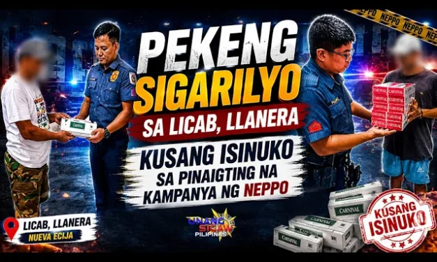 PEKENG SIGARILYO SA LICAB, LLANERA, KUSANG ISINUKO SA PINAIGTING NA KAMPANYA NG NEPPO