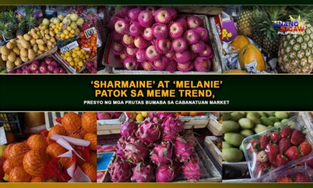‘SHARMAINE’ AT ‘MELANIE’ PATOK SA MEME TREND, PRESYO NG MGA PRUTAS BUMABA SA CABANATUAN MARKET