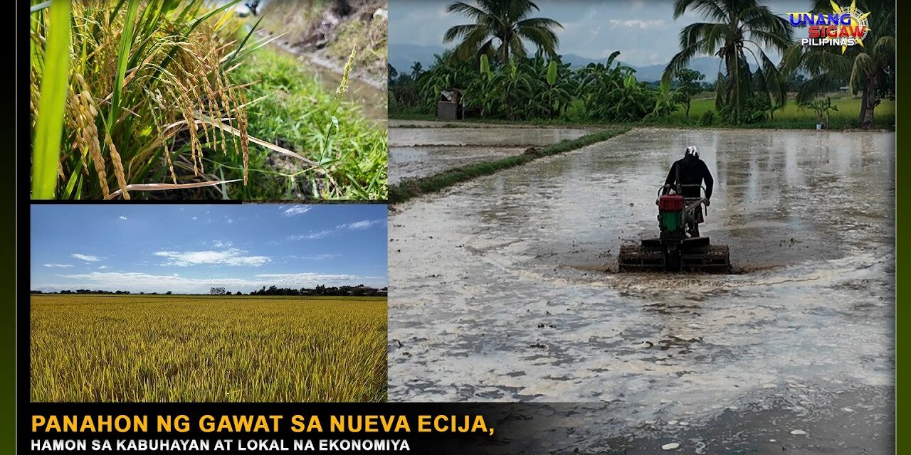 PANAHON NG GAWAT SA NUEVA ECIJA, HAMON SA KABUHAYAN AT LOKAL NA EKONOMIYA