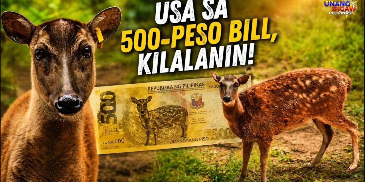 USA SA 500-PESO BILL, KILALANIN!