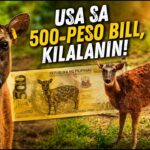 USA SA 500-PESO BILL, KILALANIN!