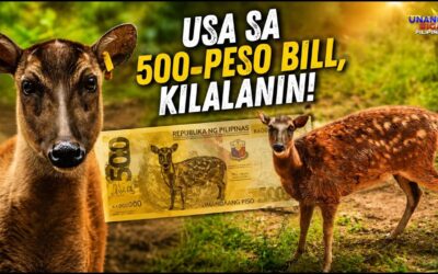 USA SA 500-PESO BILL, KILALANIN!