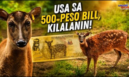 USA SA 500-PESO BILL, KILALANIN!