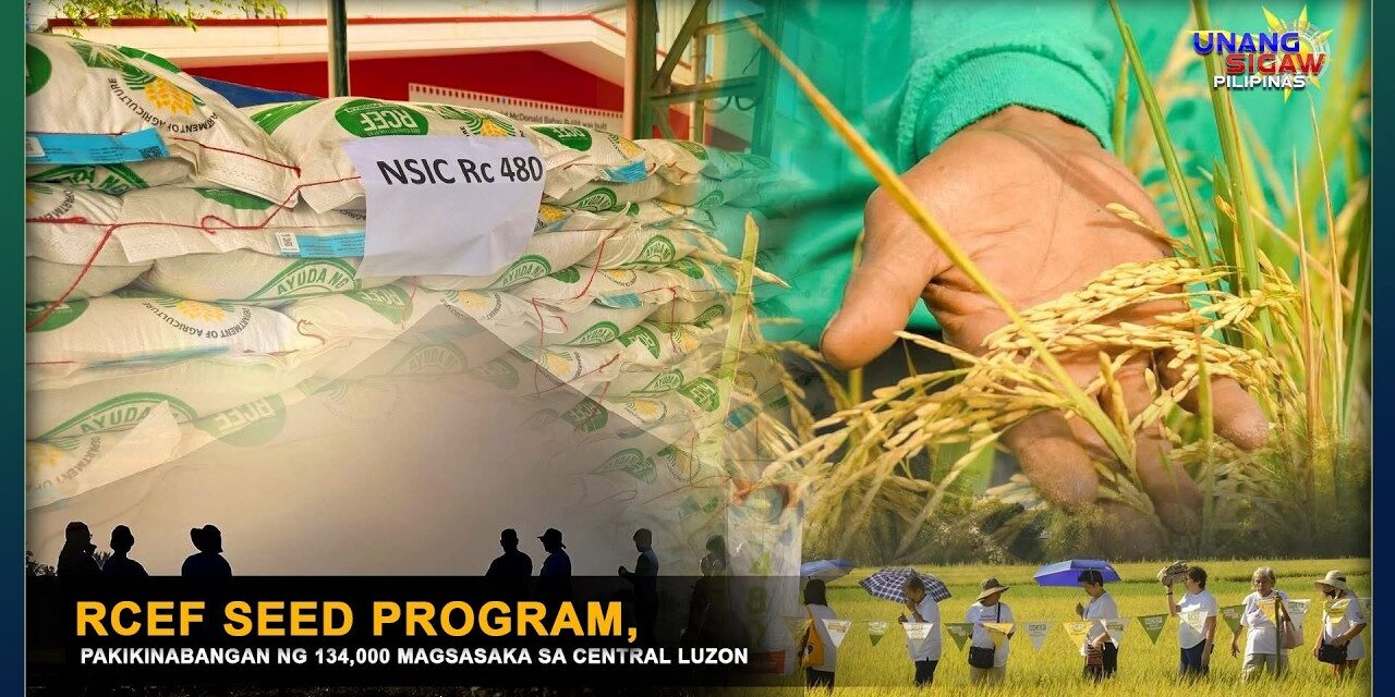 RCEF SEED PROGRAM, PAKIKINABANGAN NG 134,000 MAGSASAKA SA CENTRAL LUZON