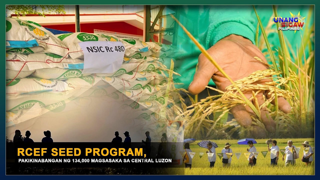 RCEF SEED PROGRAM, PAKIKINABANGAN NG 134,000 MAGSASAKA SA CENTRAL LUZON