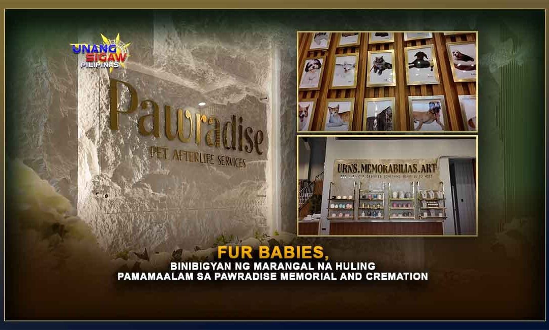 FUR BABIES, BINIBIGYAN NG MARANGAL NA HULING PAMAMAALAM SA PAWRADISE MEMORIAL AND CREMATION