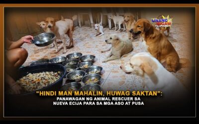 “HINDI MAN MAHALIN, HUWAG SAKTAN”: PANAWAGAN NG ANIMAL RESCUER SA NUEVA ECIJA PARA SA MGA ASO AT PUSA