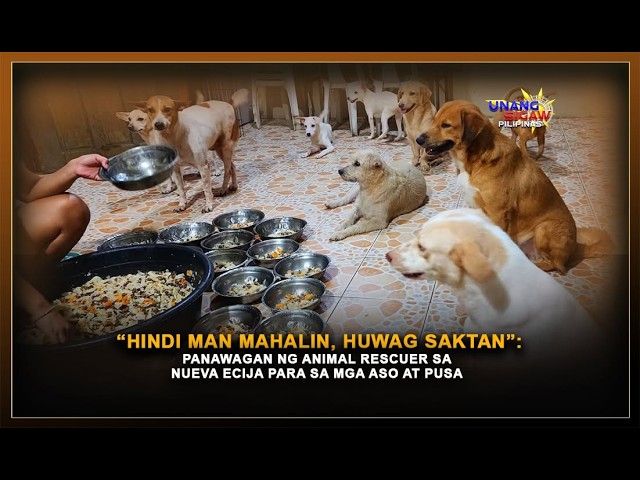 “HINDI MAN MAHALIN, HUWAG SAKTAN”: PANAWAGAN NG ANIMAL RESCUER SA NUEVA ECIJA PARA SA MGA ASO AT PUSA