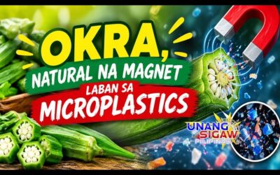 OKRA, NATURAL NA MAGNET LABAN SA MICROPLASTICS!