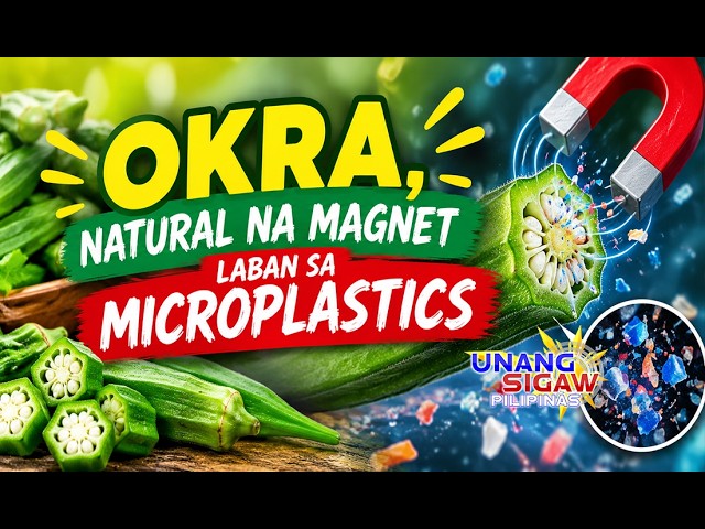 OKRA, NATURAL NA MAGNET LABAN SA MICROPLASTICS!