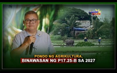 PONDO NG AGRIKULTURA, BINAWASAN NG P17.25-B SA 2027
